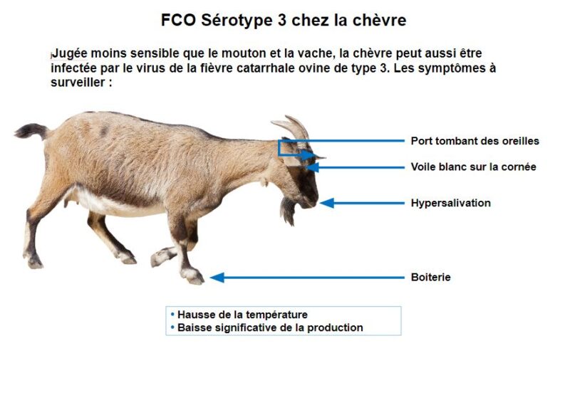 EC septembre 2024 – Image 5